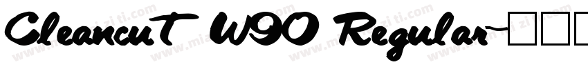 Cleancut W90 Regular字体转换